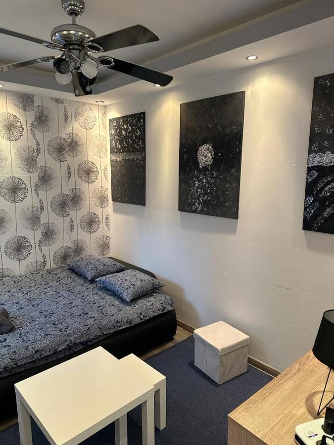 Dandelion Apartment 萨格勒布 外观 照片