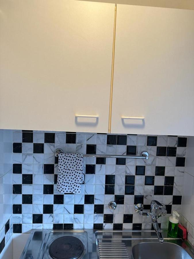 Dandelion Apartment 萨格勒布 外观 照片