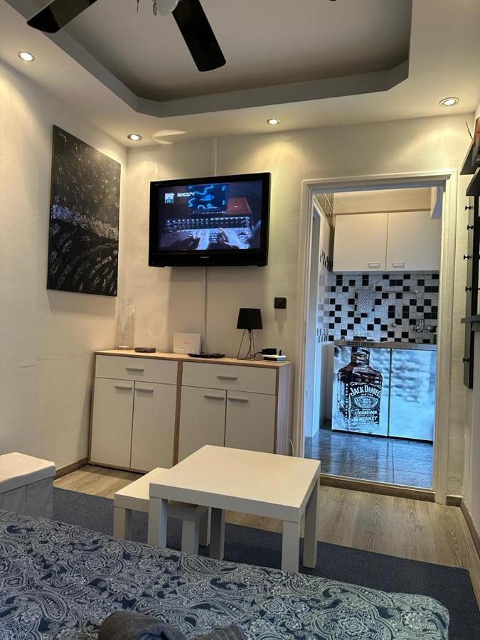 Dandelion Apartment 萨格勒布 外观 照片