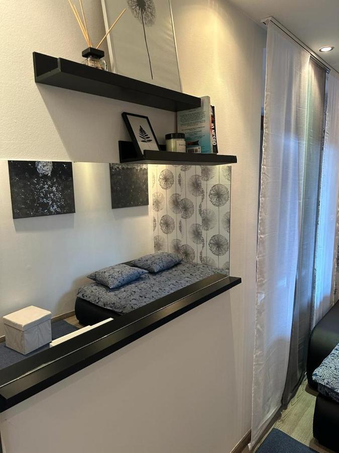 Dandelion Apartment 萨格勒布 外观 照片