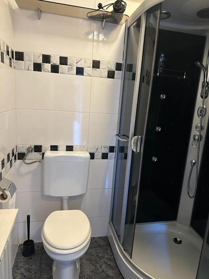 Dandelion Apartment 萨格勒布 外观 照片
